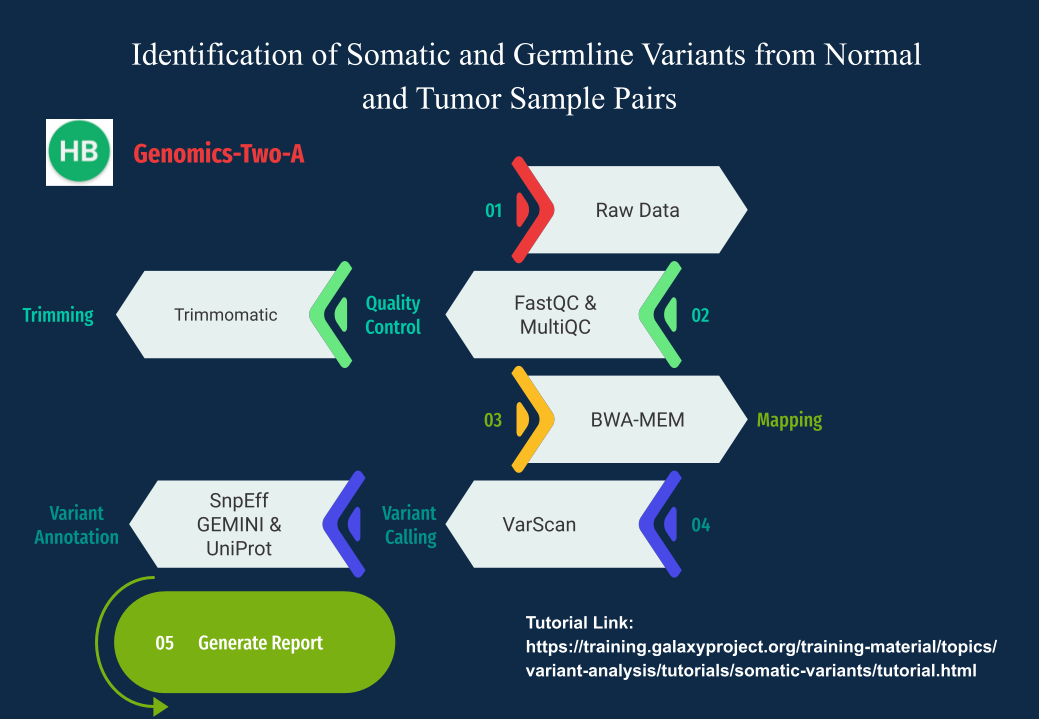 Somatic-and-Germline-variant-Identification-from-Tumor-and-normal ...